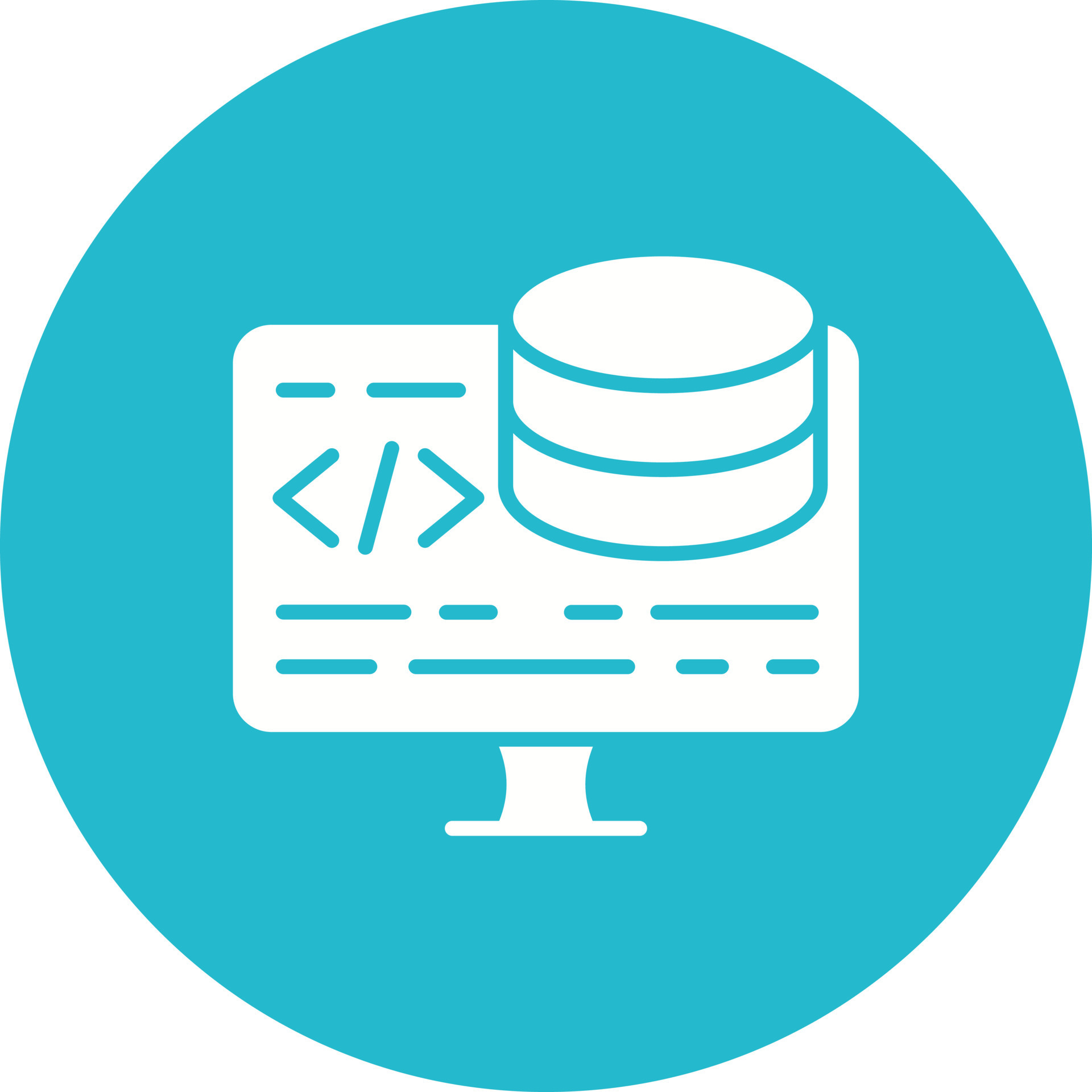 Backend Development Icon